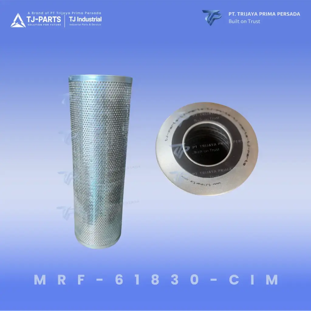 FILTER ELEMENT 30 MICRON